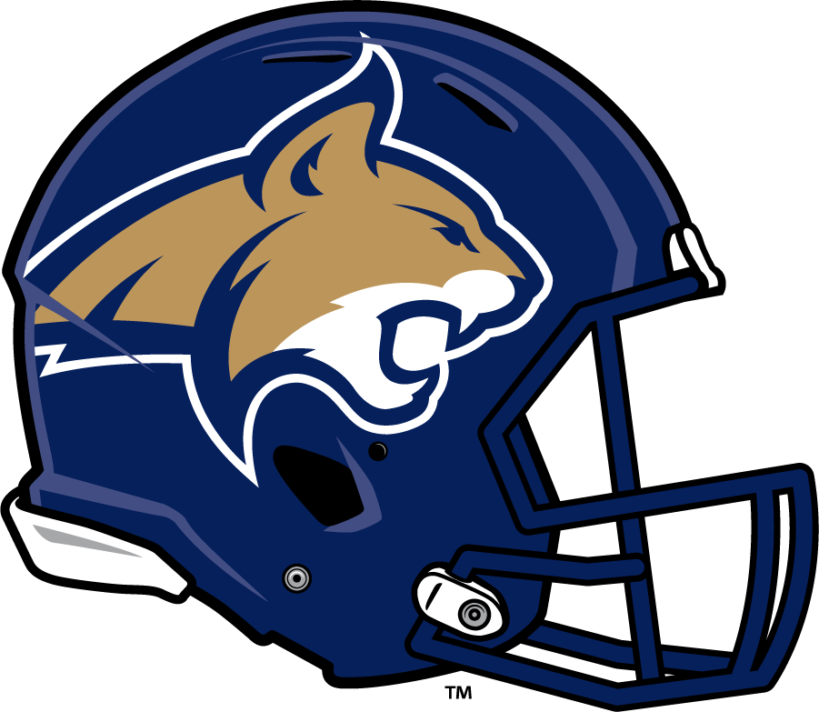 Montana State Bobcats 2013-2016 Helmet Logo diy DTF decal sticker